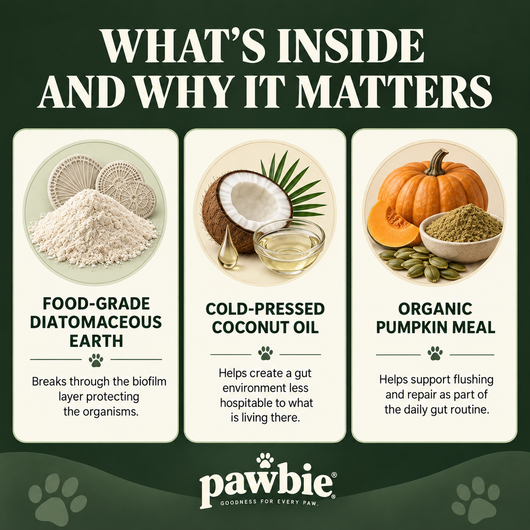 Pawbie™  Parasite Cleanse Chew